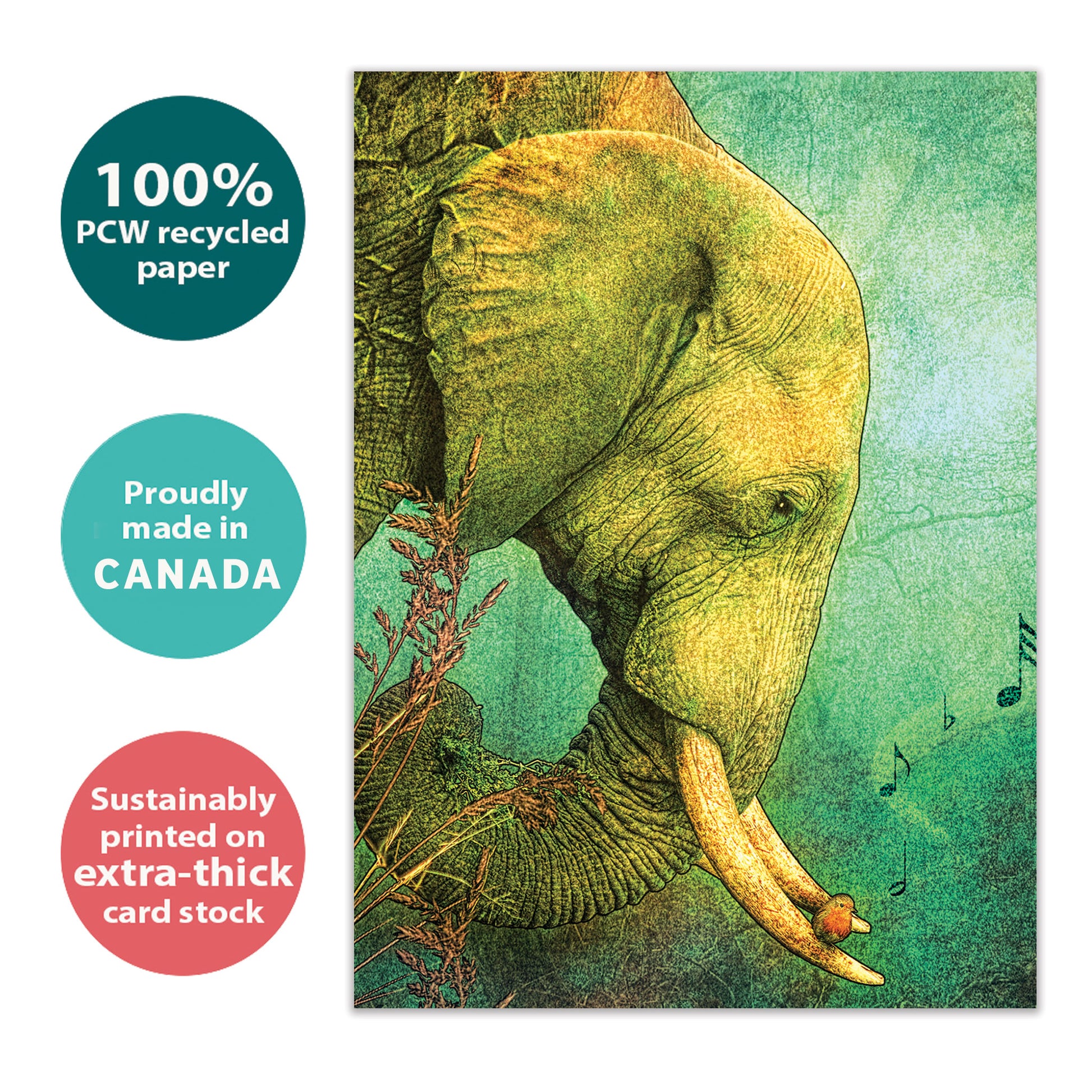 Front view of a Birthday greeting card with an illustration of an elephant and musical notes, highlighting its eco-friendly materials and made in Canada.