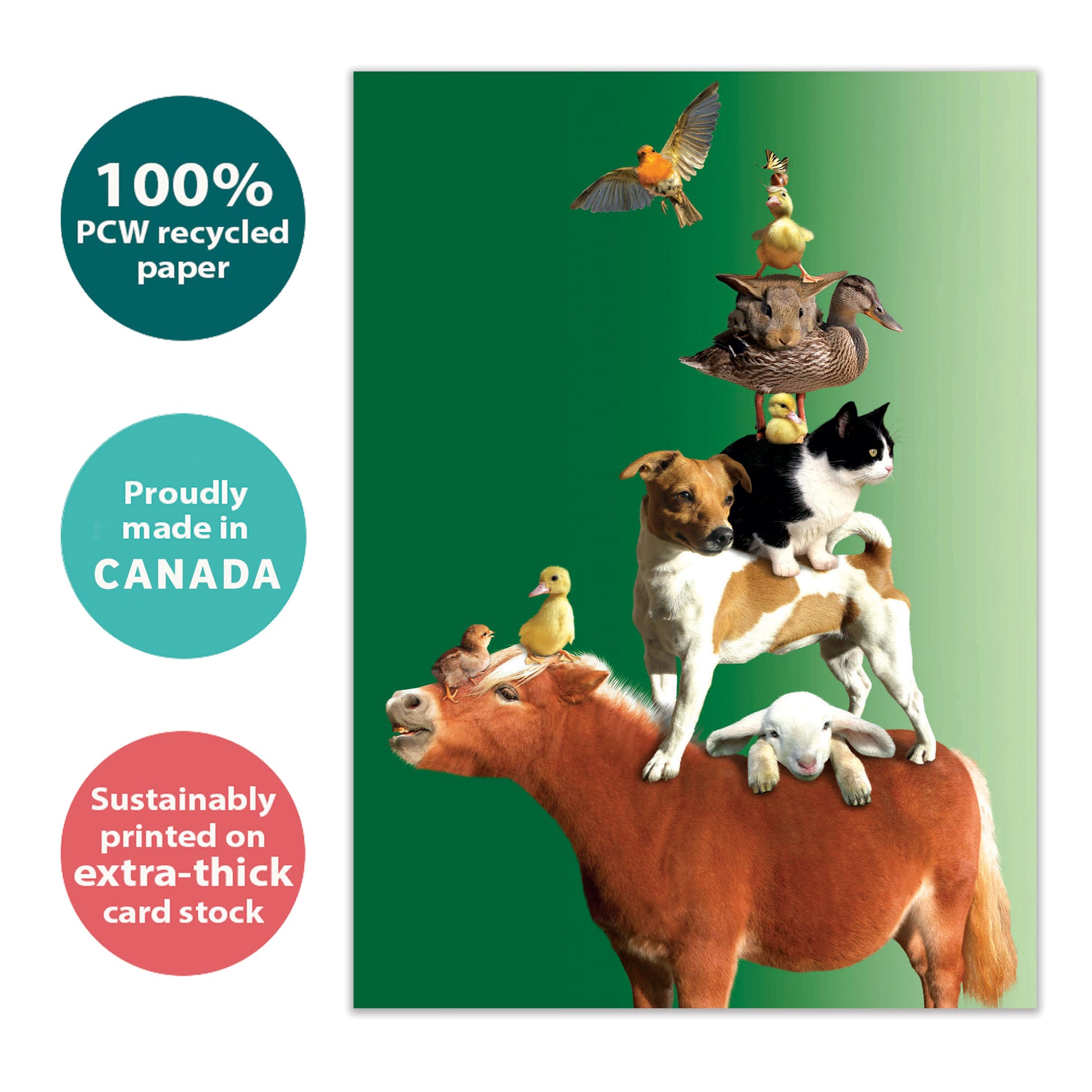 Front view of a Birthday greeting card with various animals on top of a mule on a green background, highlighting its eco-friendly materials and made in Canada.