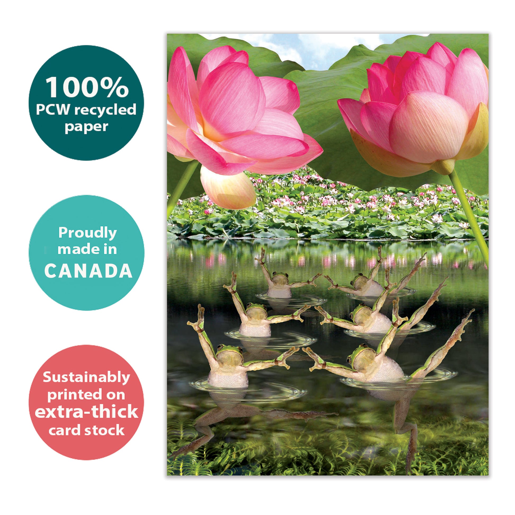 Front view of a Birthday greeting card with frogs in a pond doing synchronized swimming, highlighting its eco-friendly materials and made in Canada.