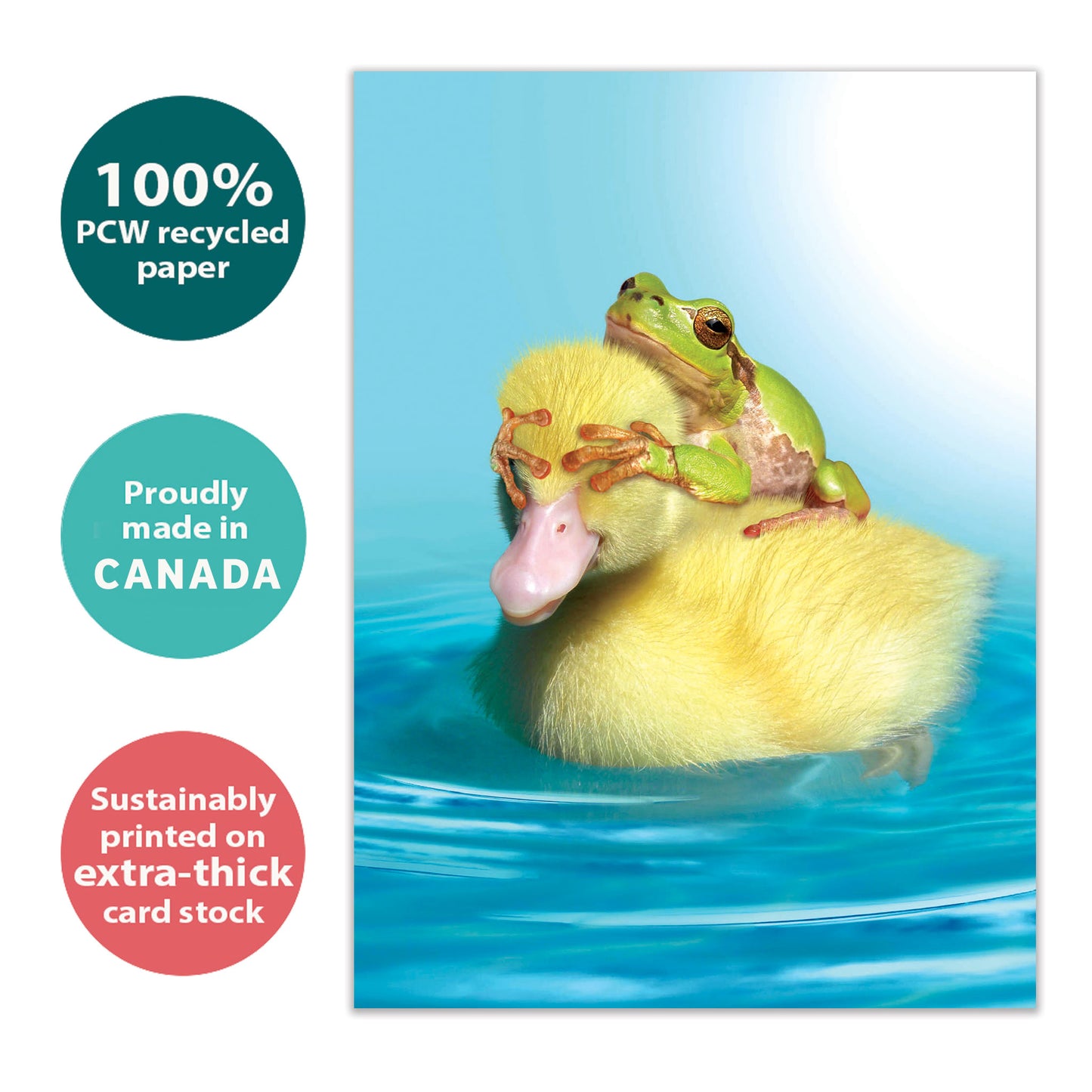 Front view of a Birthday greeting card with a duck and a frog playfully covering the duck's eyes, highlighting its eco-friendly materials and made in Canada.