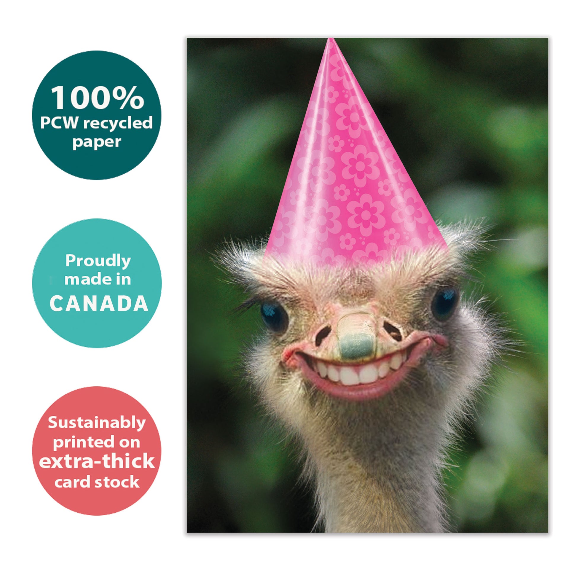 Front view of a Birthday greeting card with a humorous ostrich illustration in a birthday hat, highlighting its eco-friendly materials and made in Canada.