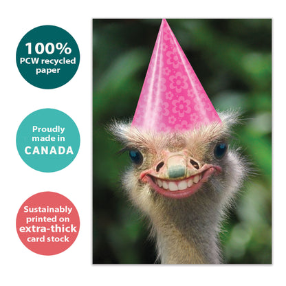 Front view of a Birthday greeting card with a humorous ostrich illustration in a birthday hat, highlighting its eco-friendly materials and made in Canada.