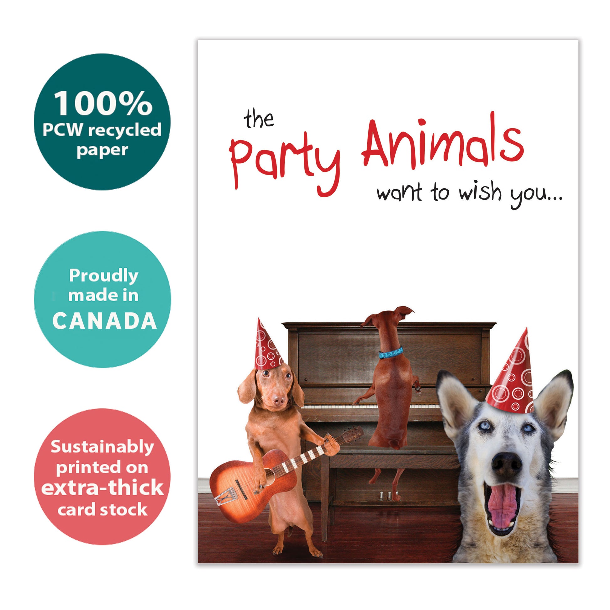 Front view of a Birthday greeting card with an illustration of dogs having a fun party and playing music, highlighting its eco-friendly materials and made in Canada.
