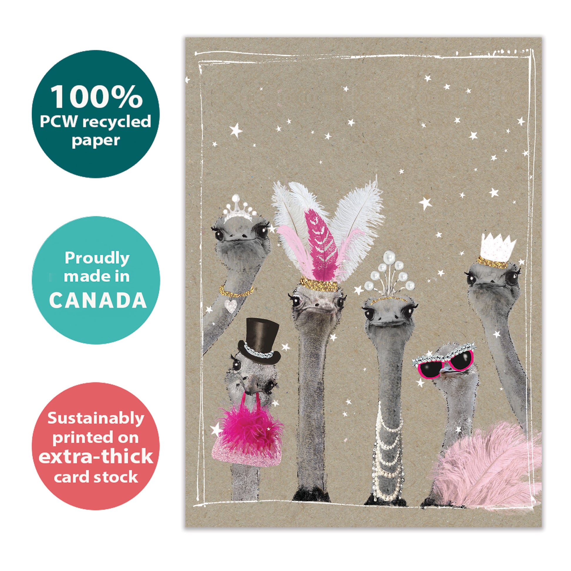 Front view of a Birthday greeting card with dressed-up ostriches, highlighting its eco-friendly materials and made in Canada.