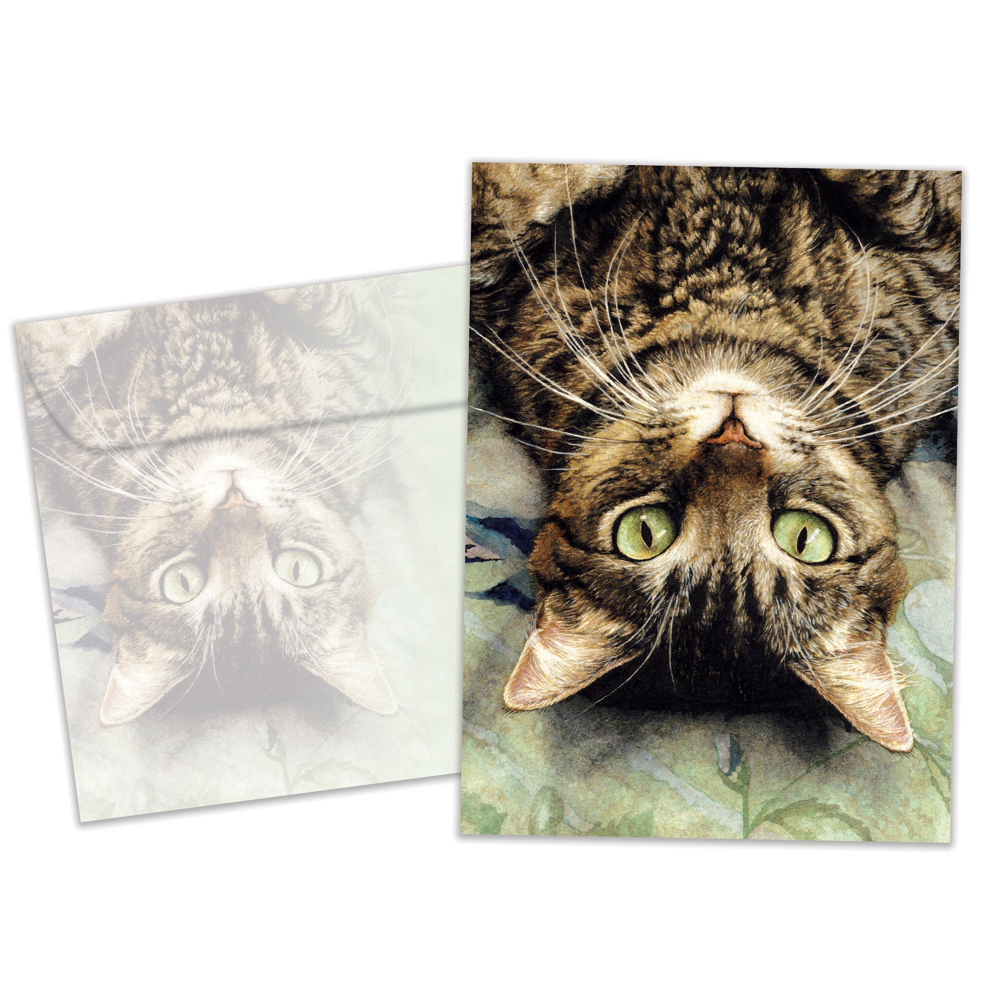 Front view of a Birthday greeting card and matching envelope featuring an image of a cat's face upside down.