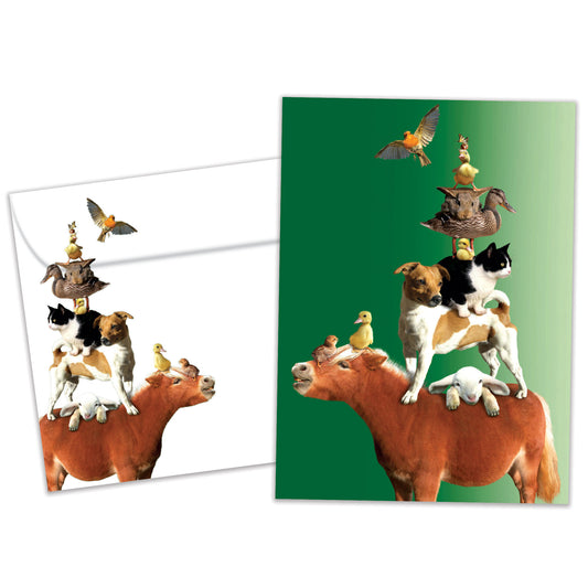 Front view of a Birthday greeting card and matching envelope featuring various animals piled on top of a mule on a green background.