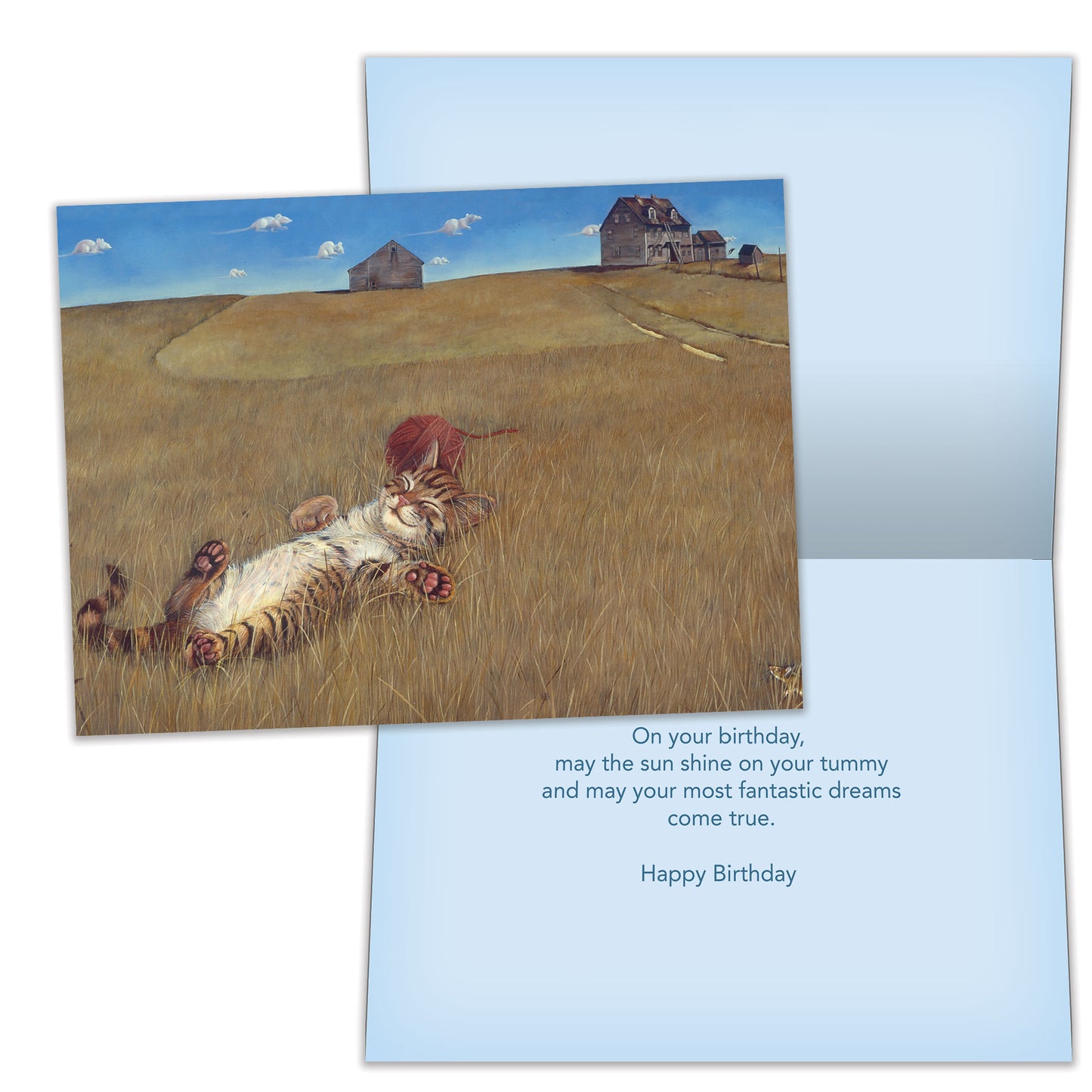 Front and inside view of a Birthday greeting card featuring a cat napping in a farm field, with matching design details inside.