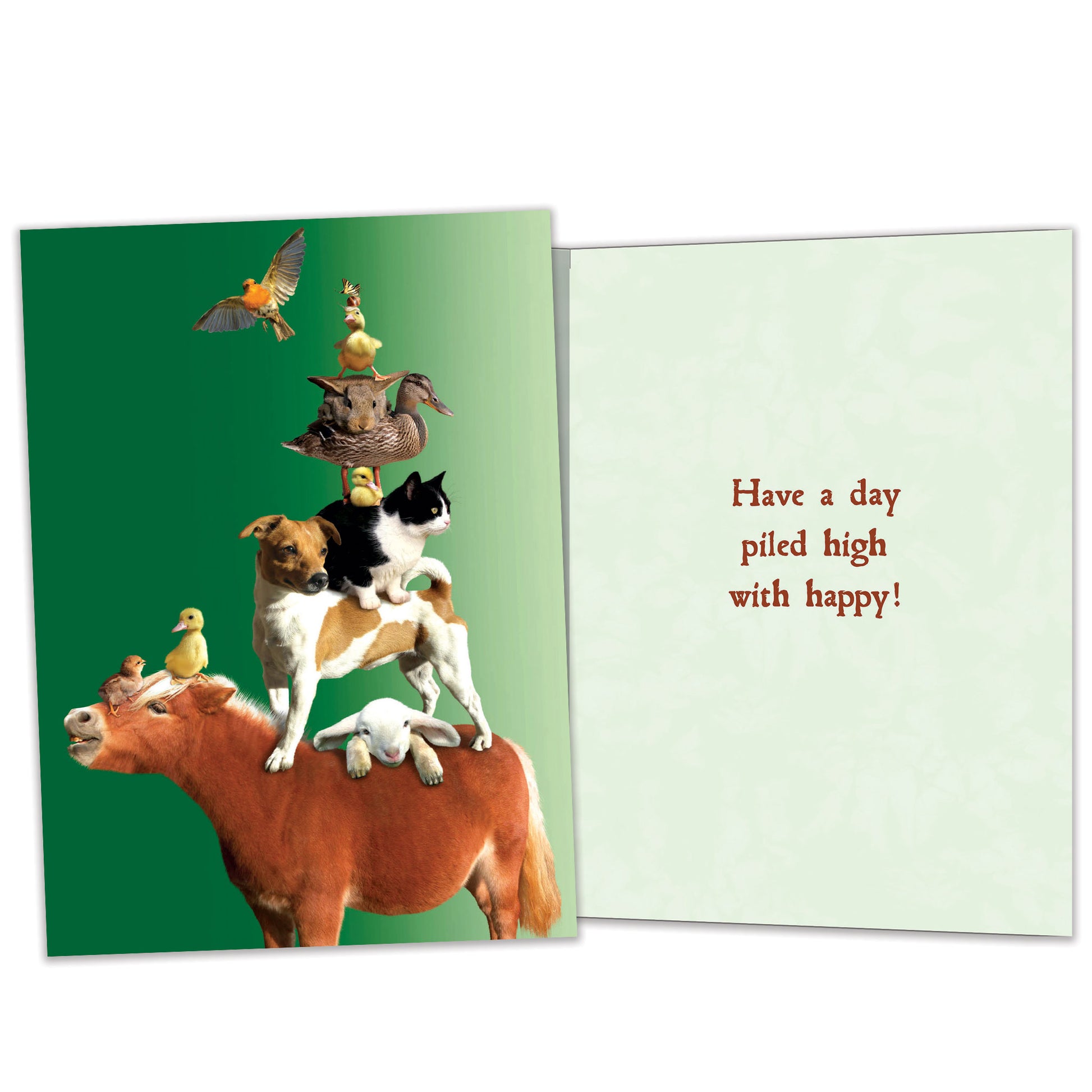 Front and inside view of a Birthday greeting card featuring animals piled on a mule on a green background, with matching design details inside.