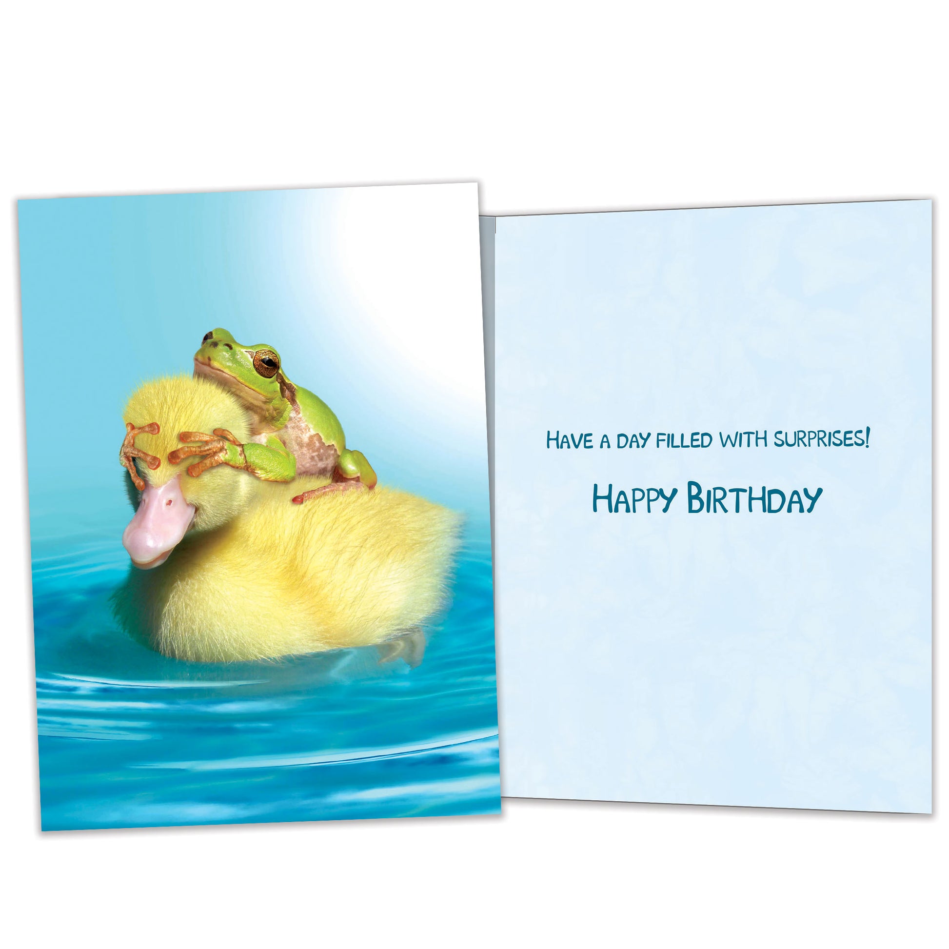 Front and inside view of a Birthday greeting card featuring a duck with a frog on its back covering its eyes, with matching design details inside.