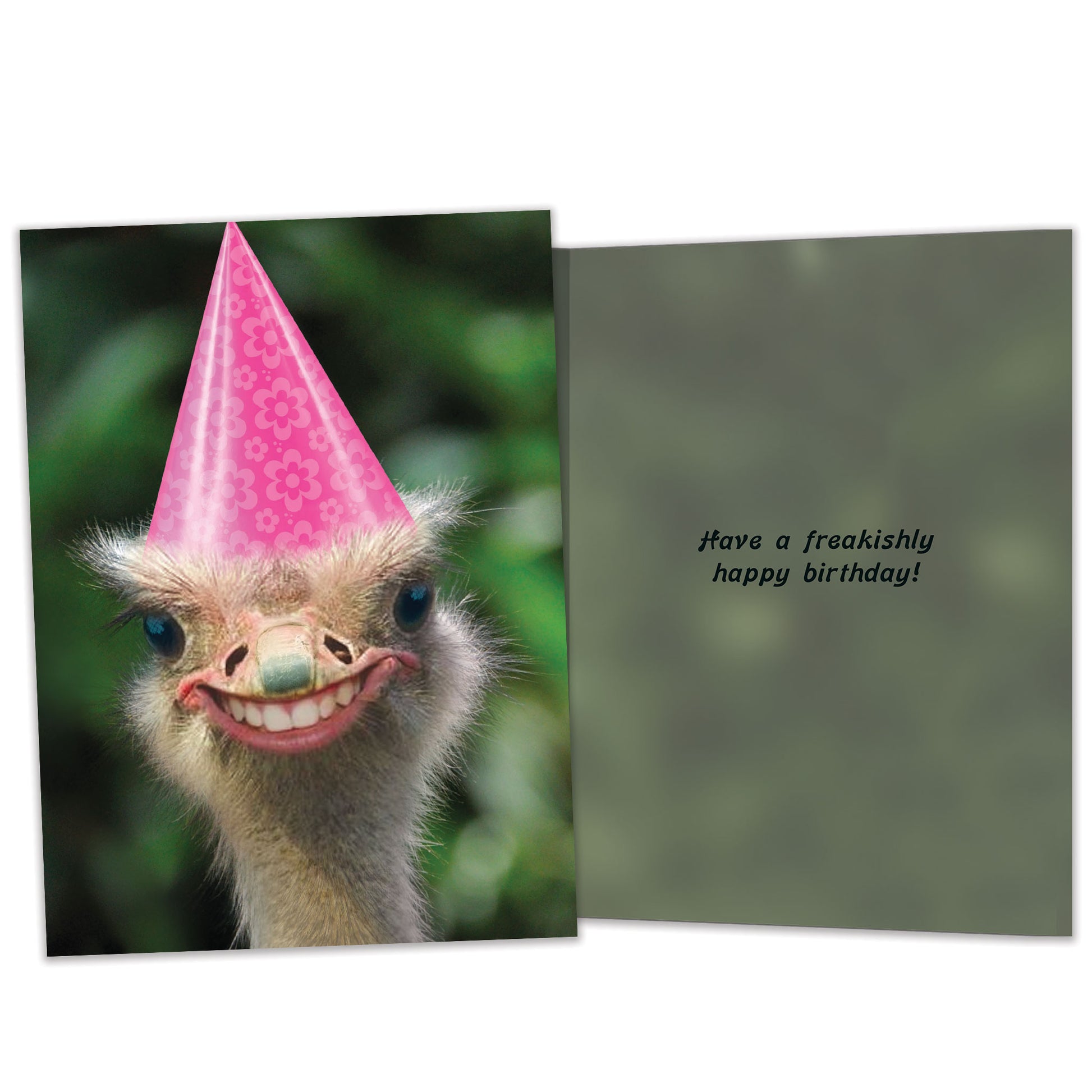 Front and inside view of a Birthday greeting card featuring a smiling ostrich in a birthday hat, with matching design details inside.