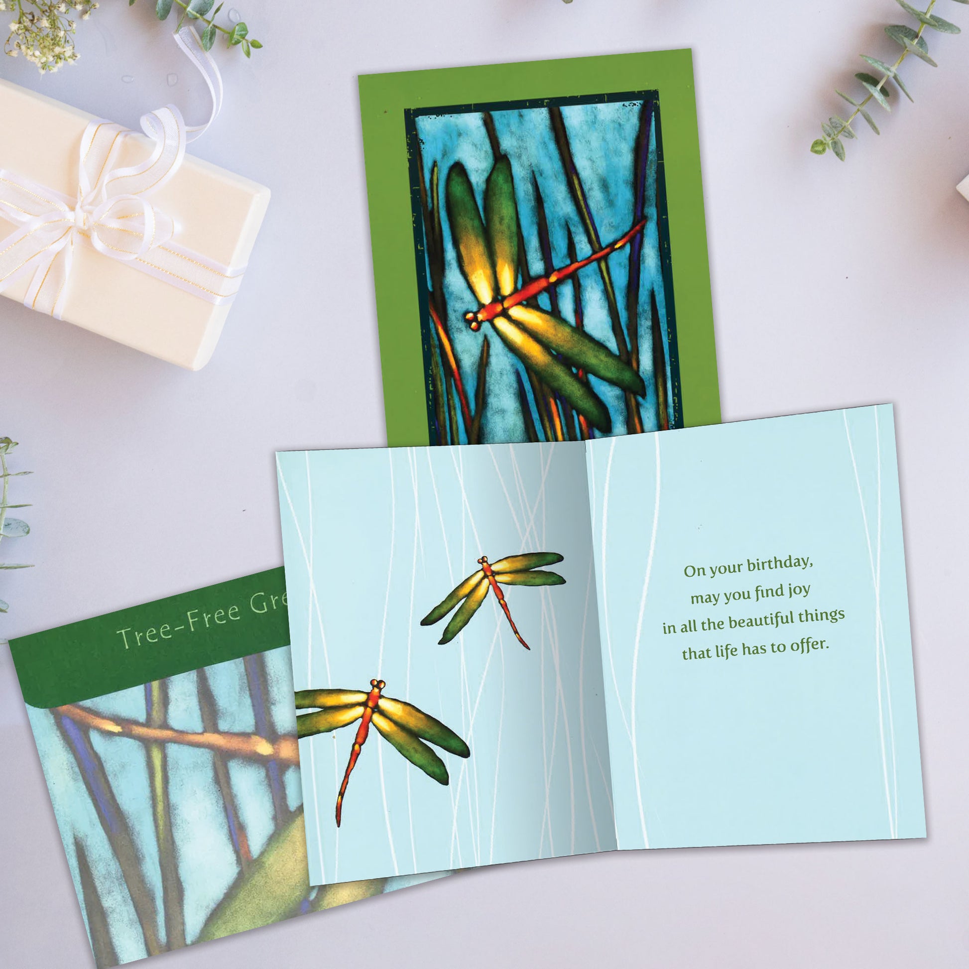 Front and inside view of a Birthday greeting card showcasing a dragonfly in a marshy background, with a matching envelope.