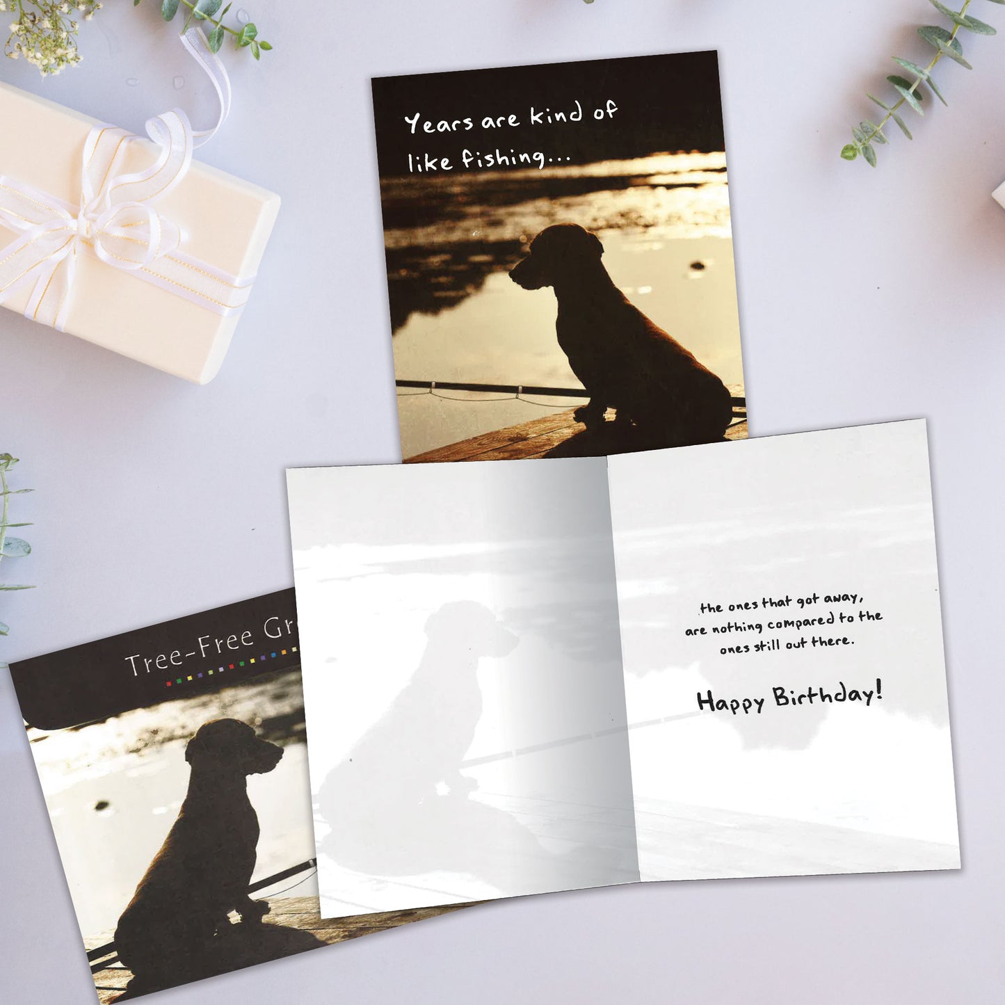 Front and inside view of a Birthday greeting card showcasing a dog fishing on a dock with a message about years being like fishing, with a matching envelope.