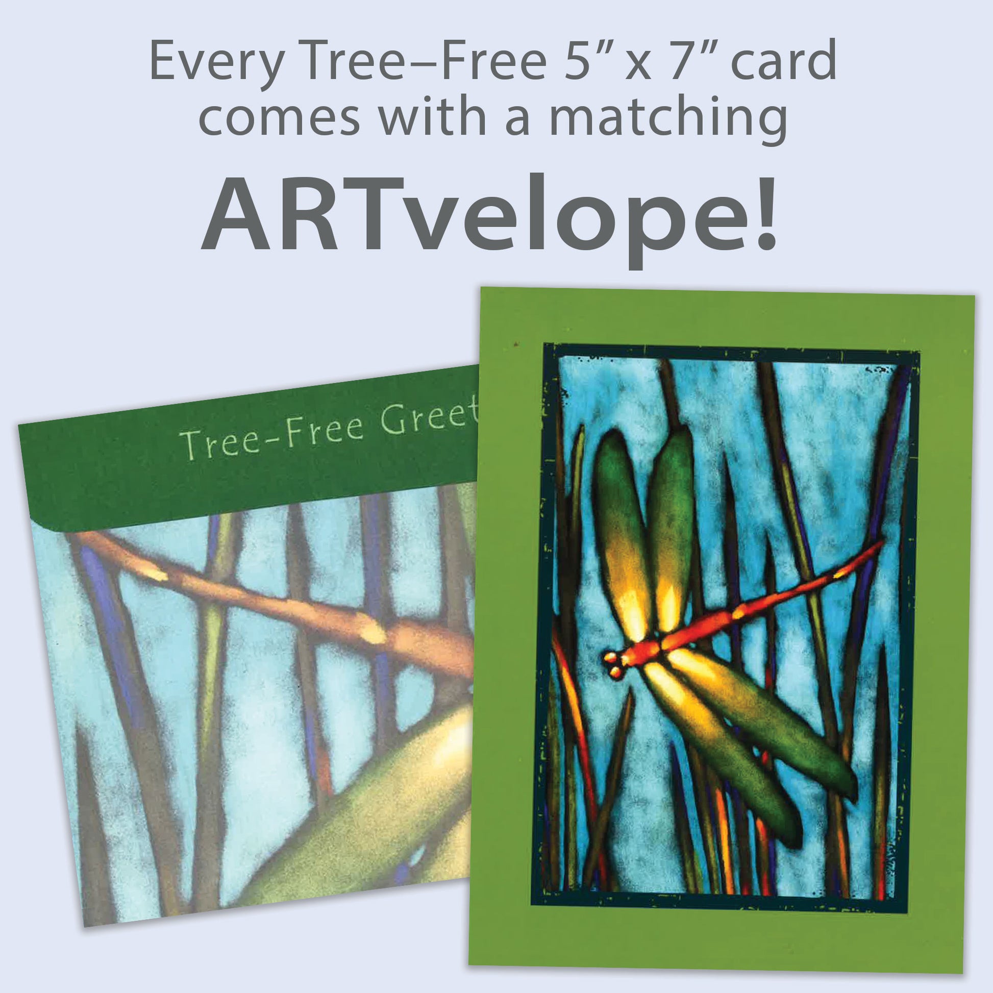 Front view of a Birthday greeting card featuring a dragonfly in a marshy background, with matching envelope artwork.