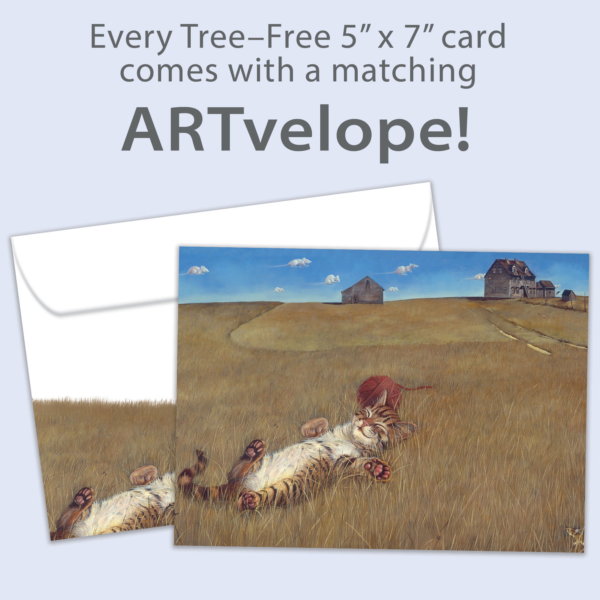 Front view of a Birthday greeting card featuring a cat napping in a serene farm field, complemented by matching envelope artwork.