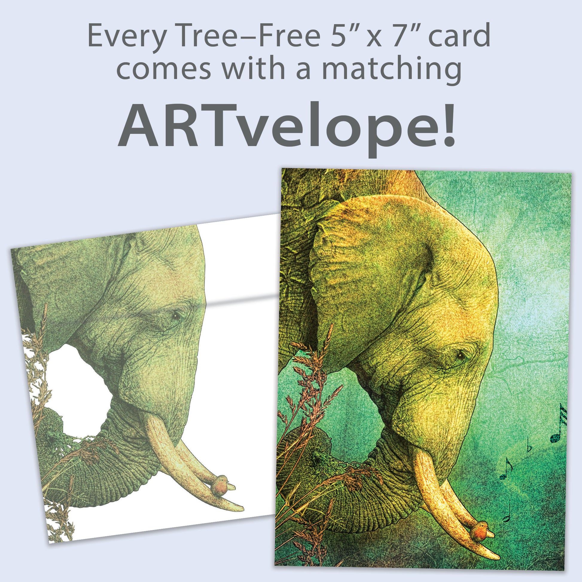 Front view of a Birthday greeting card featuring an illustration of an elephant surrounded by musical notes on a light green background, with matching envelope artwork.