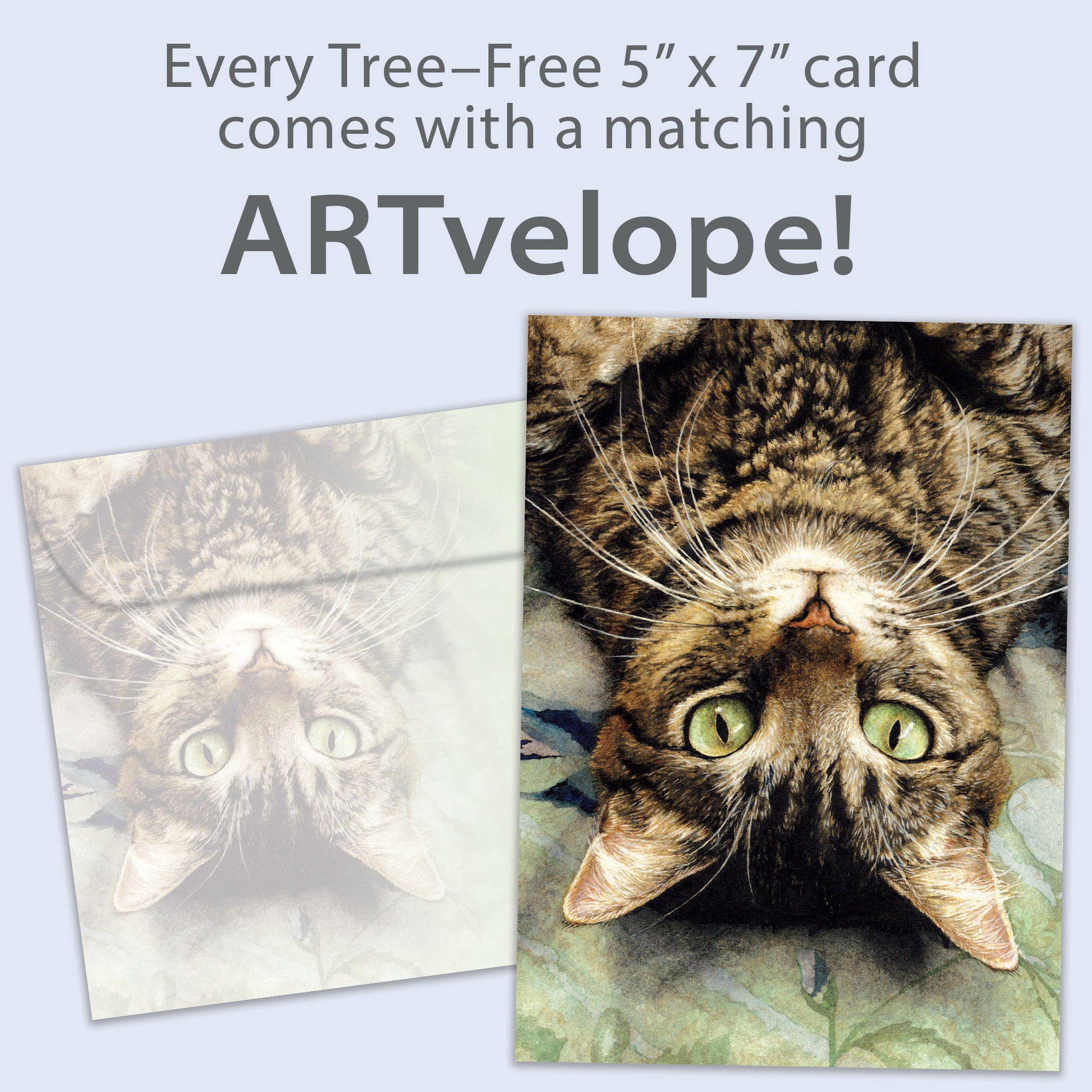 Front view of a Birthday greeting card featuring an image of a cat's face upside down, with matching envelope artwork.