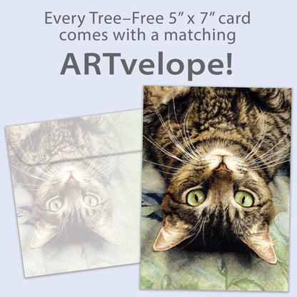 Front view of a Birthday greeting card featuring an image of a cat's face upside down, with matching envelope artwork.