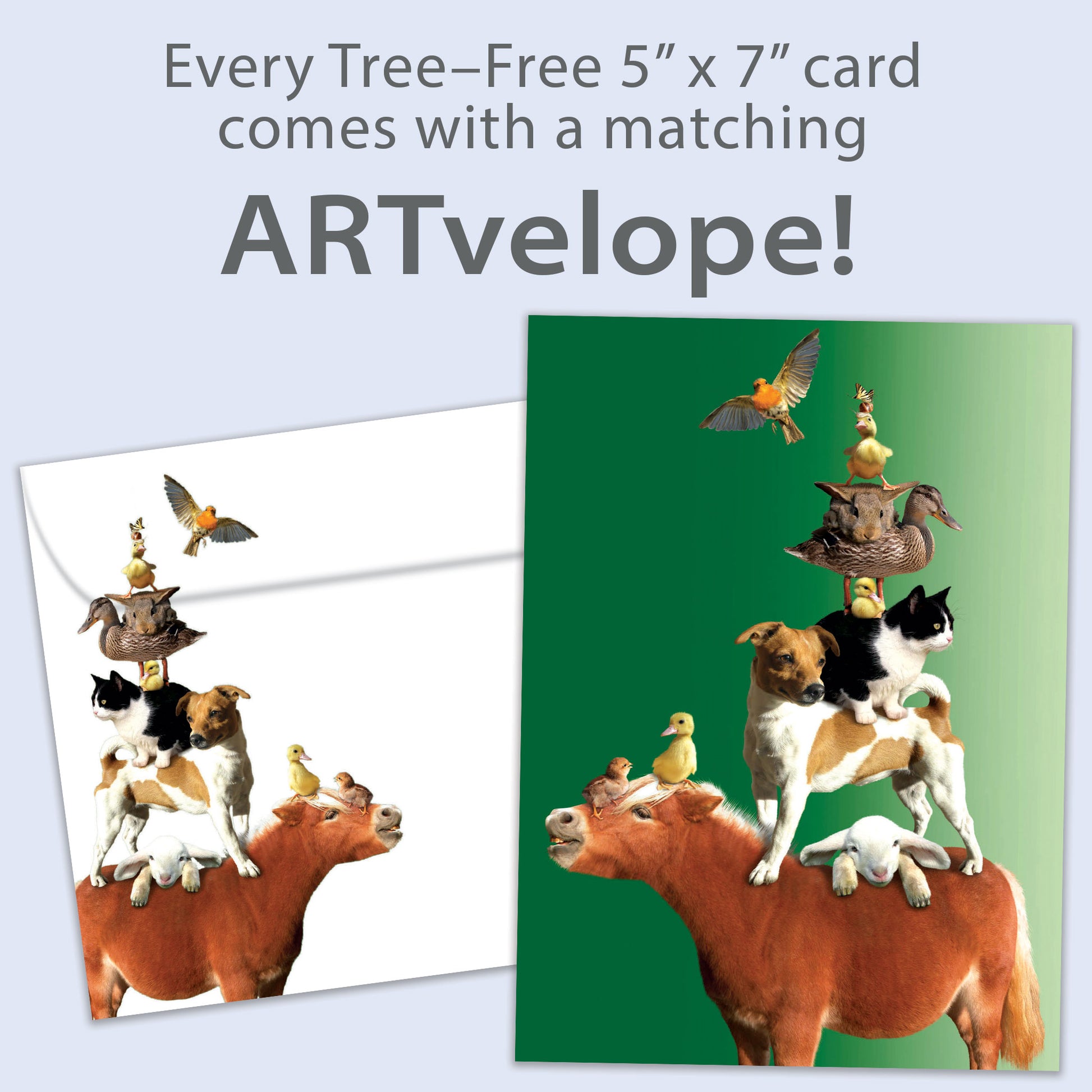 Front view of a Birthday greeting card featuring various animals piled on top of a mule on a green background, with matching envelope artwork.