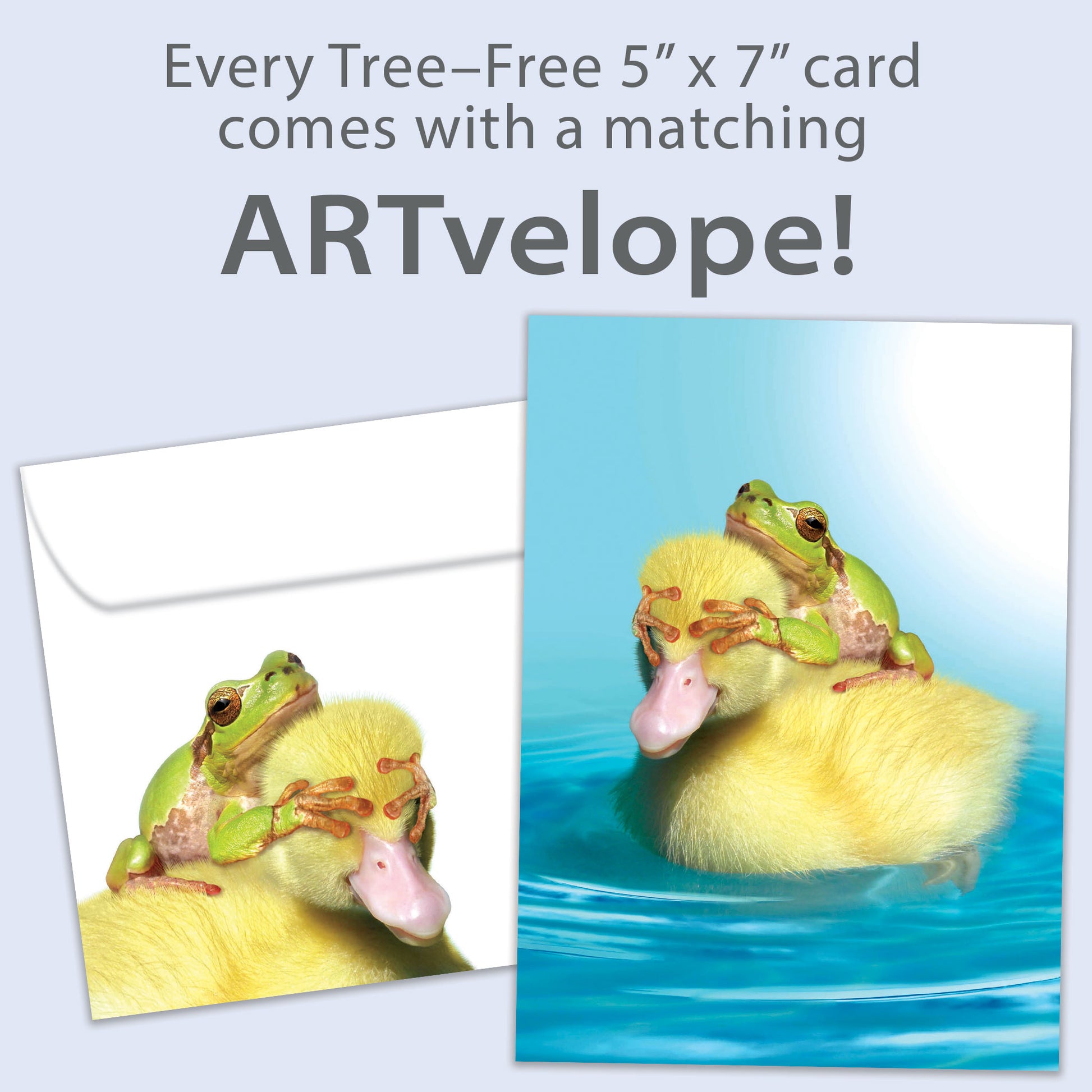 Front view of a Birthday greeting card featuring a duck with a frog on its back covering its eyes, with matching envelope artwork.