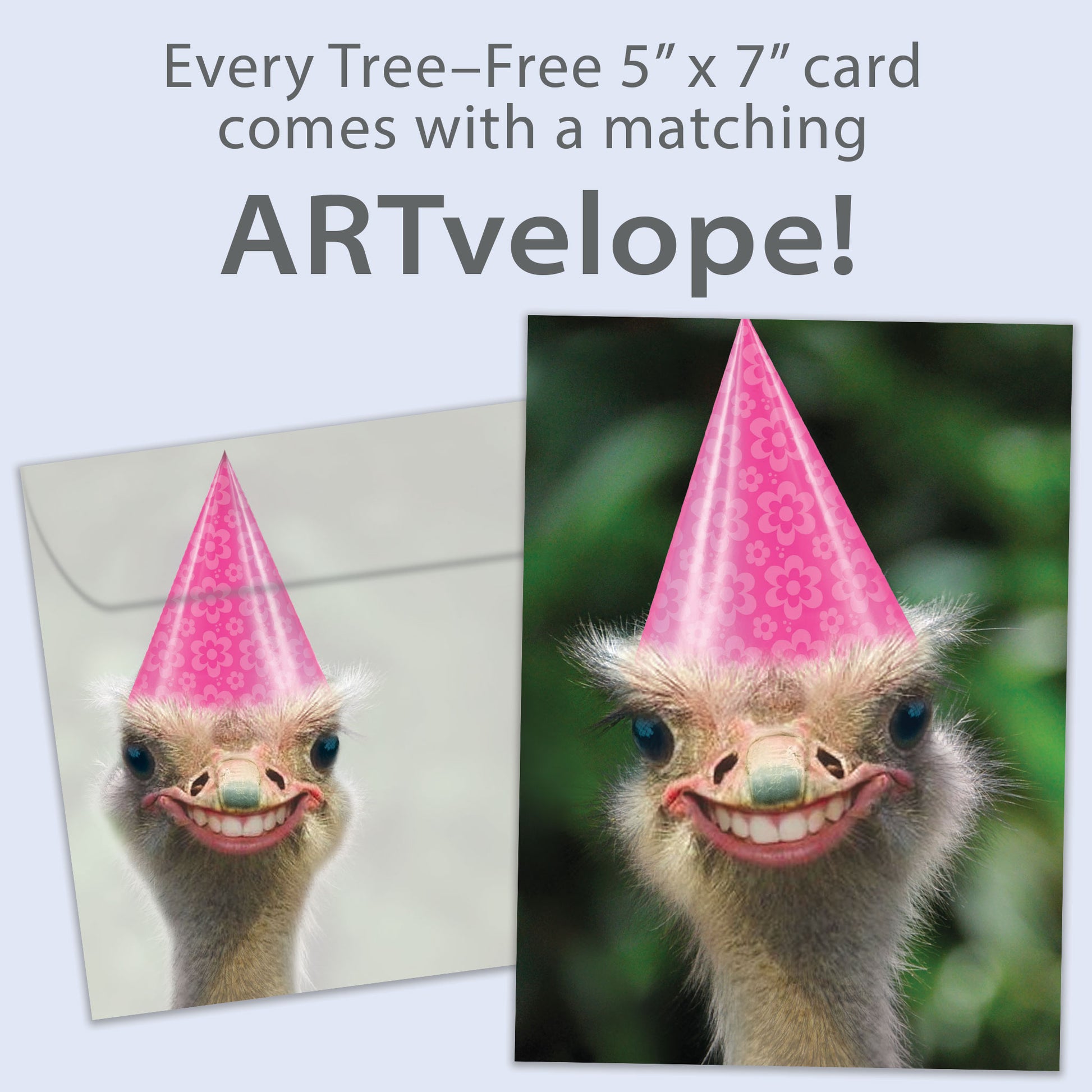Front view of a Birthday greeting card featuring a smiling ostrich in a birthday hat, with matching envelope artwork.