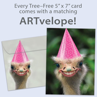 Front view of a Birthday greeting card featuring a smiling ostrich in a birthday hat, with matching envelope artwork.