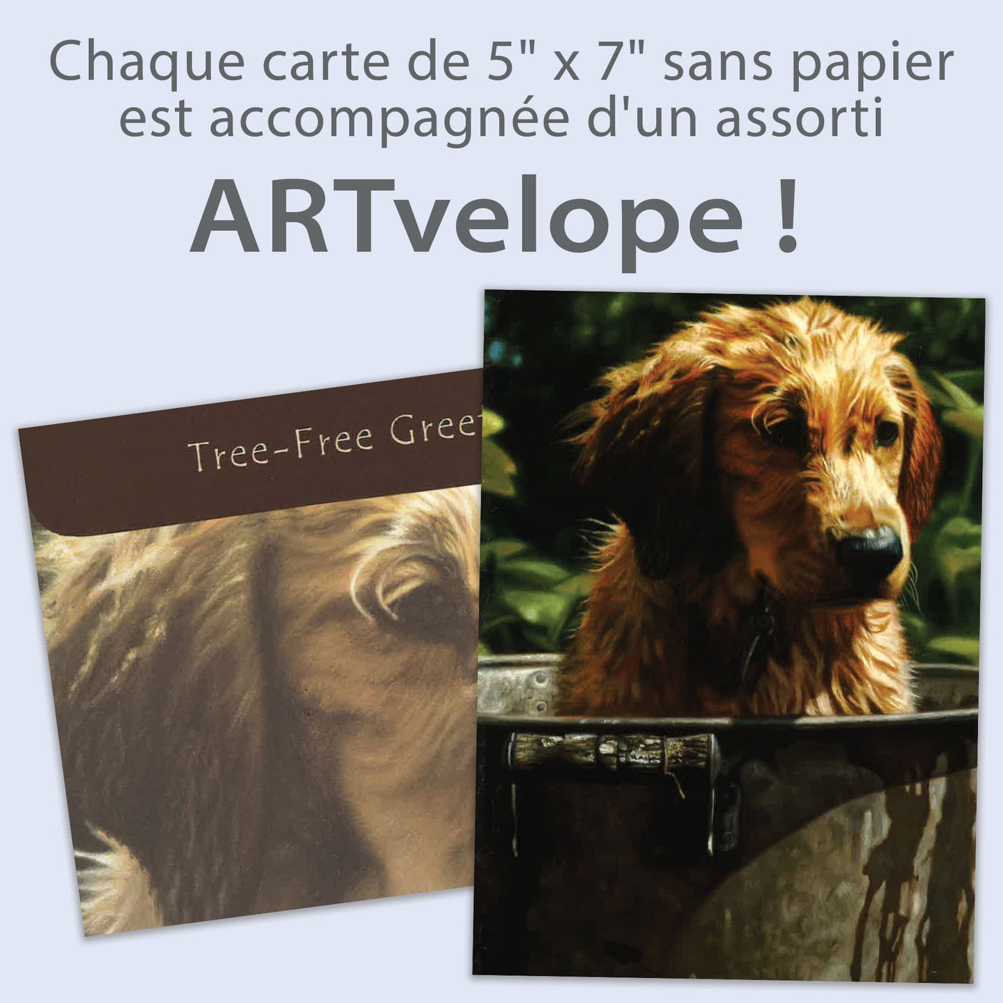 Carte bonne fête Se Laver