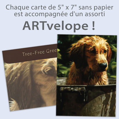 Carte bonne fête Se Laver